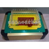 科技展品隨著時代發展